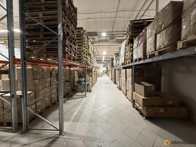 свободного назначения, 976.9 м&sup2;