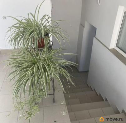 студия, 32 м&sup2;