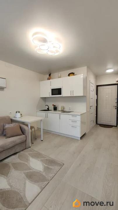 студия, 20.2 м&sup2;