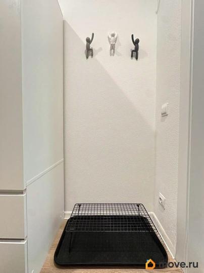 студия, 19.5 м&sup2;