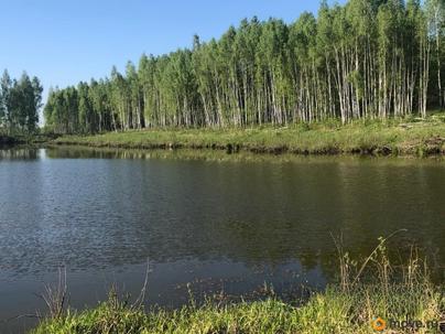 земельный участок, 6 соток