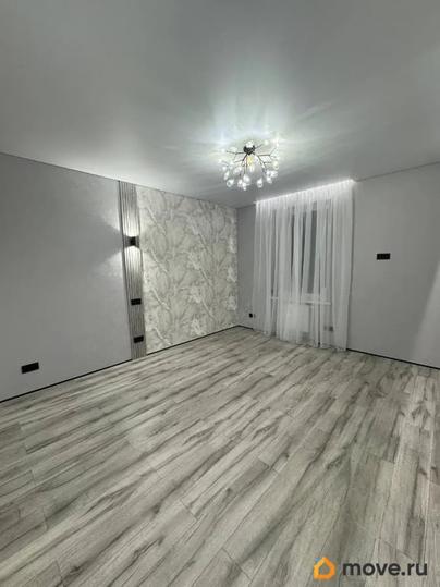 студия, 23.5 м&sup2;