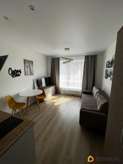 студия, 19.6 м&sup2;
