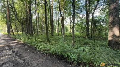 земельный участок, 20 соток