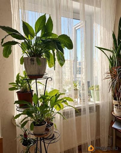 1-комн. квартира, 49.2 м&sup2;
