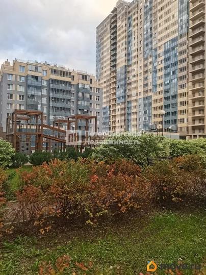 студия, 25 м&sup2;