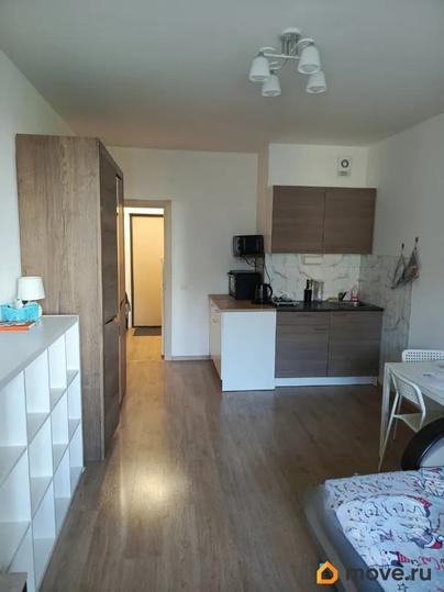 студия, 24.3 м&sup2;