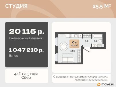 студия, 25.5 м&sup2;