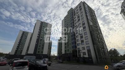 студия, 30.8 м&sup2;