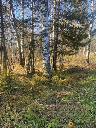земельный участок, 20 соток