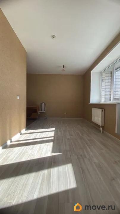 студия, 25.5 м&sup2;