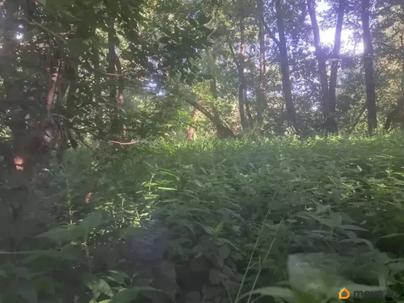 коммерческий участок, 14.2 сотки