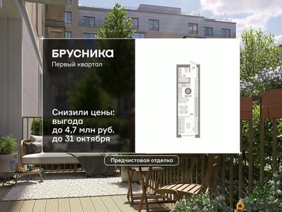 студия, 33.11 м&sup2;